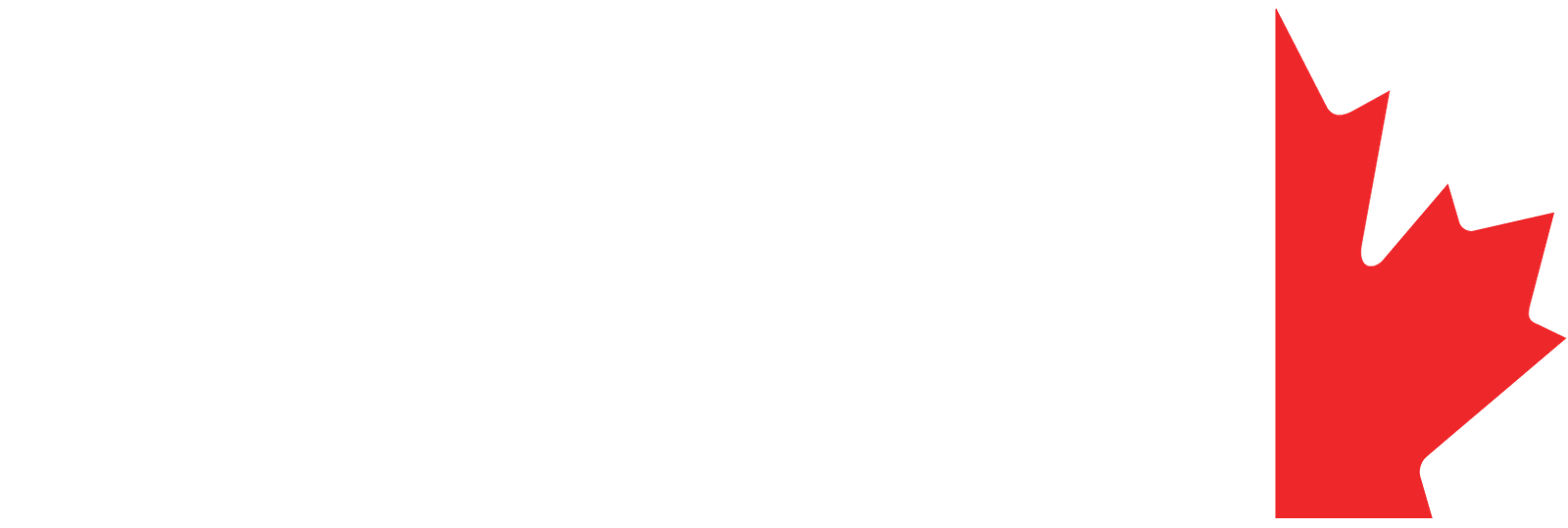 SolidPetroserve_logo
